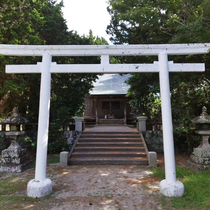 画像238