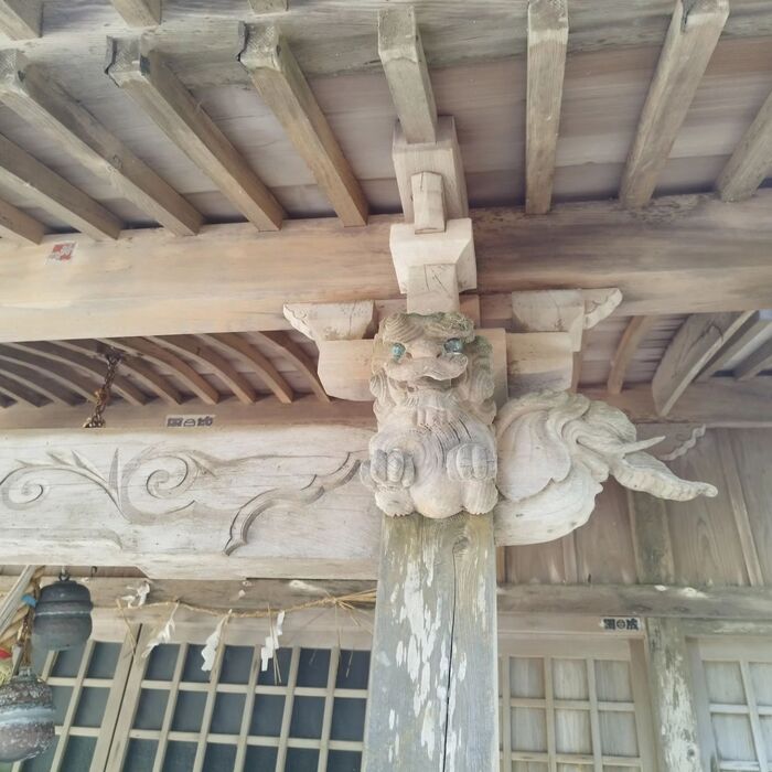 画像239